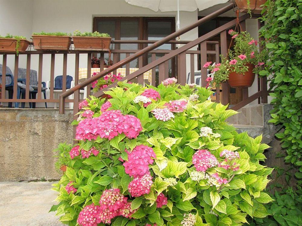 伊万卡巴拉克膳食公寓 Međugorje 外观 照片